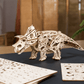 Triceratops DINO